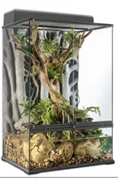 Comprar Natural X-tall Terrarium