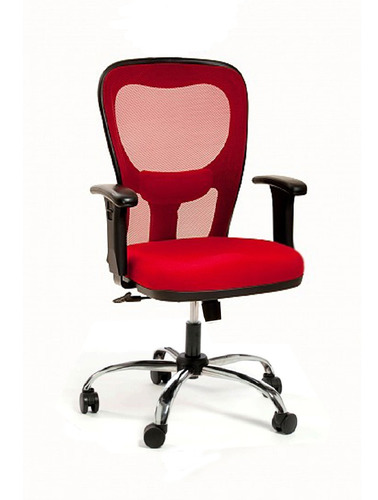 Silla Sillon Ergo Citiz Cromo Brazo Regulable Portantino 