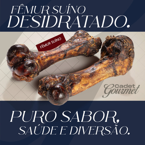 Kit 10 Fêmur Suína Osso Natural Desidratada Para Cães Cadet