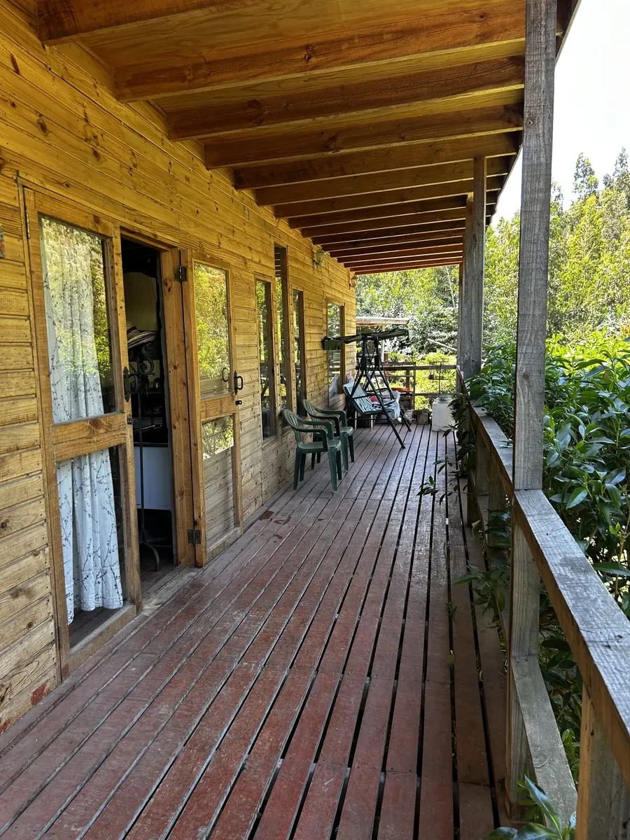 Imagen 4 de 16 de Acogedora Casa Estilo Cabaña , Inserta En Bosque Nativo.