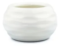 Comprar Maceta Esmaltada Cerámica Decoración Diseño Ondulado Cactus