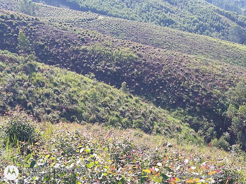 Rt Terrenos De 1.000 M²