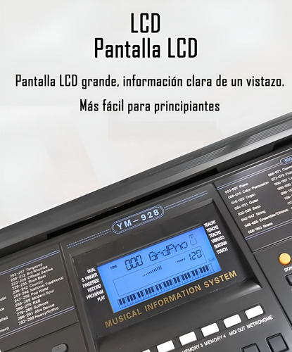Teclado Musical Avanzado 61 Teclas Ym 928 Midi Velocidad