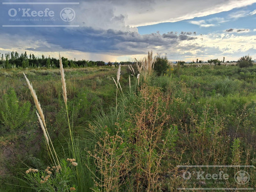 Oportunidad Venta De 2 Fincas Aledañas En Cañada Seca , San Rafael , Mendoza. Frutihorticola, Forrajes, Turismo,