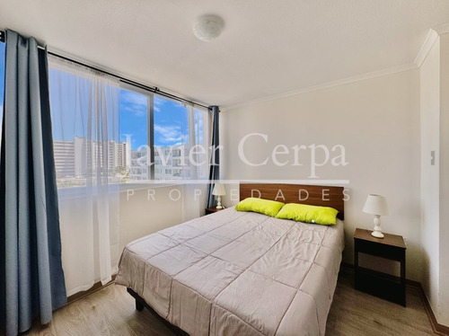 Arriendo De Marzo A Diciembre Cómodo Departamento Amoblado