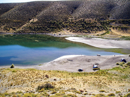 Campo En Venta En Alicura