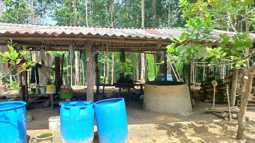Sítio Com 2 Casas Am 010 Km 116