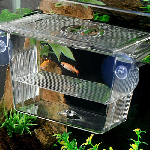 Criadero De Caja Aislada De Reproducción De Peces Con S