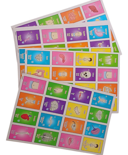 Loteria Didactica Partes Del Cuerpo En Ingles