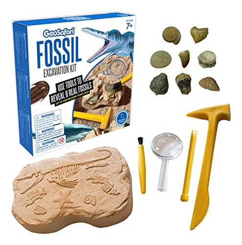 Geosafari Fossil Excavation Kit, Kids Science Kit, Di