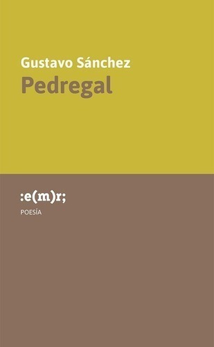 Libro - Pedregal - Gustavo Sanchez