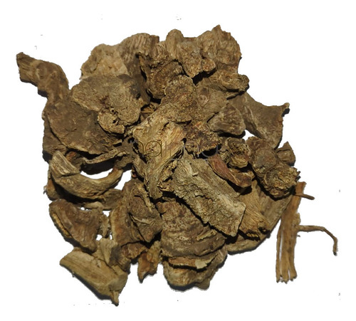 Raíz De Angélica Para Té 100% Natural 1 Kg