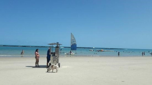 Imagem 3 de 6 de Cartoes De Viagens