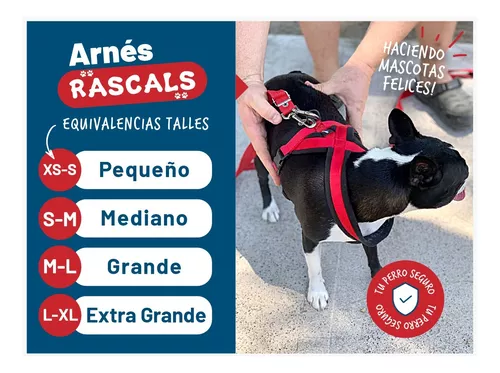 Pretal Arnés Perro Acolchonado Premium Pequeño Rascals