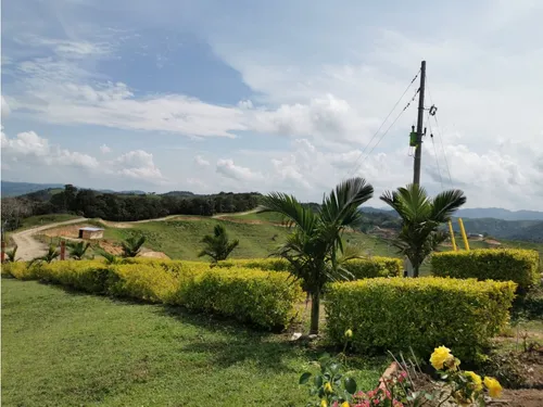 Lote Cisneros, Antioquia Entrando Por Yolombo - Se Vende/permuta
