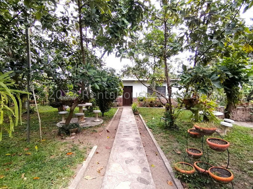 Imagen 20 de 30 de Sp Casa Granja Con Piscina A Minutos Del Este De La Ciudad En Venta En El Cercado Barquisimeto Lara