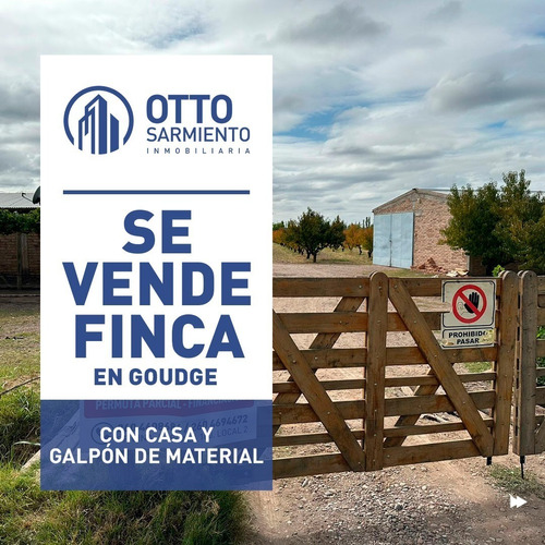 Vendo Finca En Goudge, San Rafael, Provincia De Mendoza