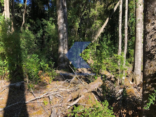 Terreno En Venta En Cisnes