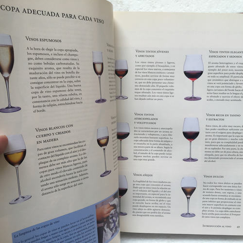 André Dominé, El Vino. Könemann (Usado)