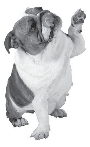 Alimento Seco Nupec Sensitive 2kg Perro Adulto Mix