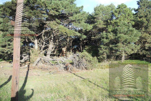 Imagen 3 de 7 de Excelente Lote En Las Camelias, Costa Del Este