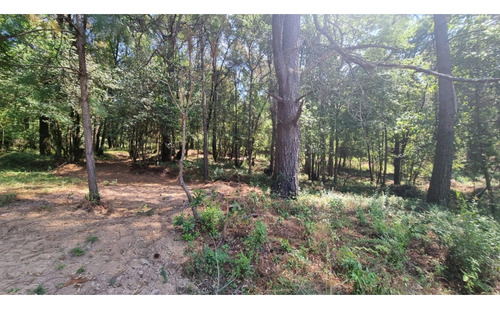 Proyecto Nuevo En Venta, Amento