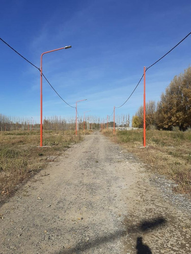 Imagen 7 de 9 de Terreno - Vista Alegre Sur