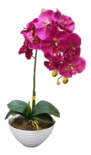 Arreglo Floral Orquídea Fuccia Y Hojas En Base Blanca Regalo