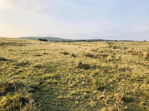 Chacra En Venta En Garzón
