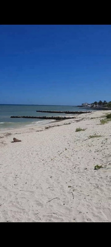 Remato Terreno En Chuburná Puerto 90 Metros De La Playa