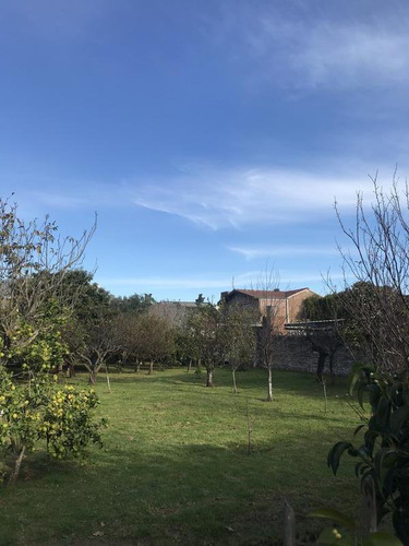 Imagen 5 de 8 de Lencke Vende - Excelente Terreno Apto Para Construir Duplex