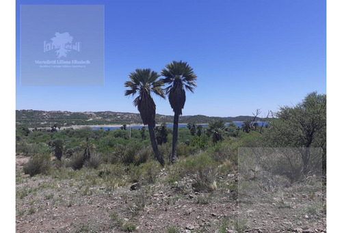 Campo - San Fco Del Monte De Oro