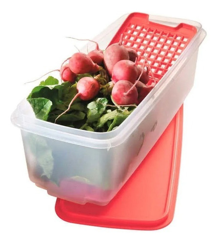 Fresquita Tupperware 4,5lts