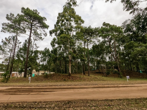 Imagen 2 de 4 de Lote Terreno Unifamiliar En Venta Pinamar Norte - Zona Alamos Ii