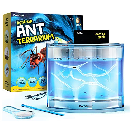 Juego Educativo De Cienci Light-up Ant Habitat For Kids Led 