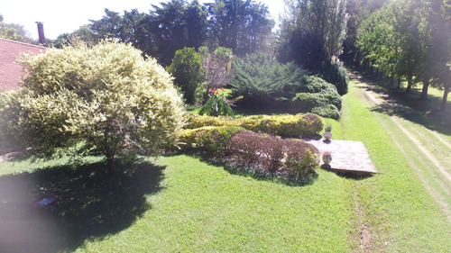 Imagen 7 de 14 de En Venta 35 Has Agricolas Con Muchas Mejoras. Mercedes (b)