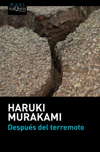 Libro - Después Del Terremoto 