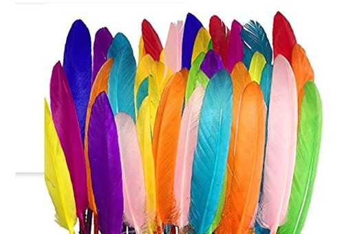 Media Libra De Plumas Ganso Grande De 15 A 20cm 600-700 Pcs