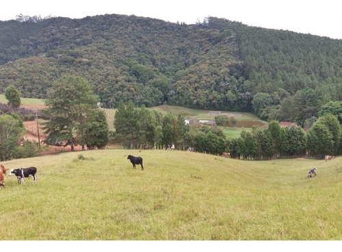 Imagem 22 de 30 de Fazenda Bem Localizada À Venda Em Juquitiba. - 15 - 32982853