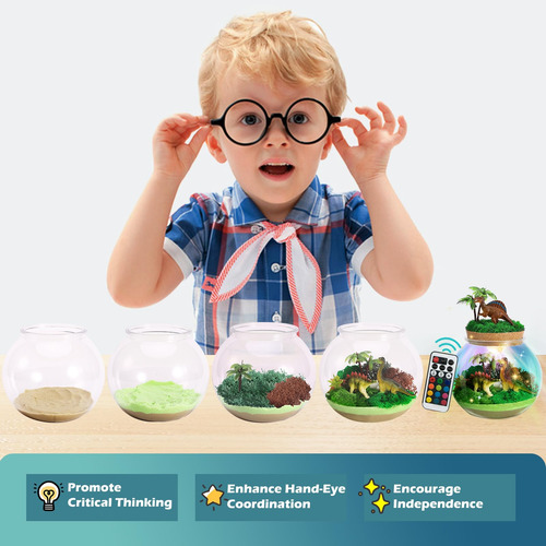 Kit De Terrario Iluminado Dinosaurio Con Luz Led Para Niños