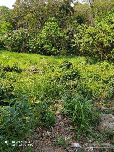 Imagem 7 de 7 de Terreno À Venda, 1410 M² Por R$ 139.000,00 - Jardim Nova Cotia - Itapevi/sp - Te0387