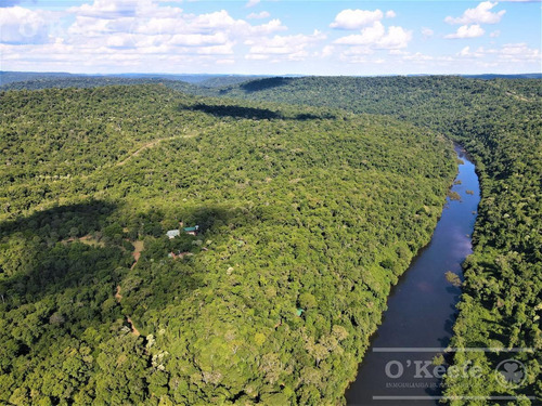 Imagen 2 de 30 de Grandes Extensiones De Bosque Nativo En Misiones - Bonos Verdes- Ideal Conservacionistas