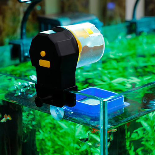 Alimentador Automático Y Pecera Para Tortugas, Tamaño Grande