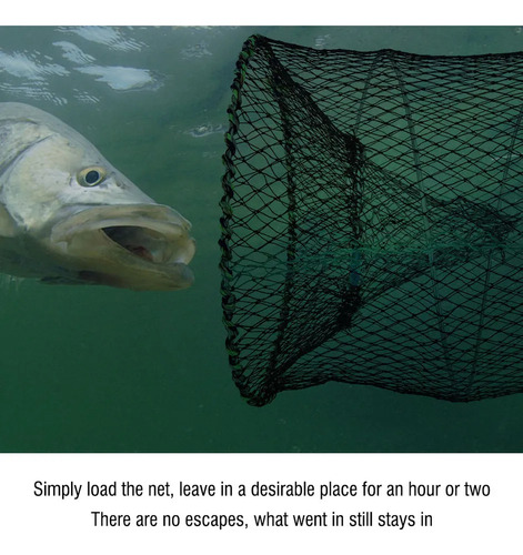 2 Trampas Plegables Para Langostas, Cangrejos Y Peces