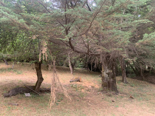Parcela De 7.500 Mt2 En Sector Puninque