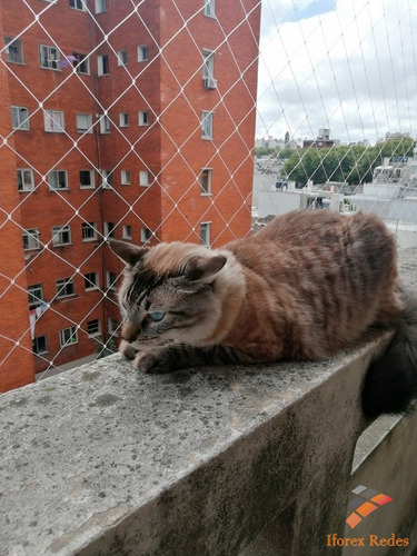 Imagen 7 de 8 de Redes Protección Seguridad Niños Mascotas Palomas Balcon