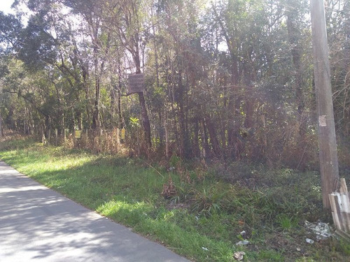 Imagem 4 de 5 de Terreno À Venda, 4180 M² Por R$ 1.000.000,00 - Abranches - Curitiba/pr - Te0125