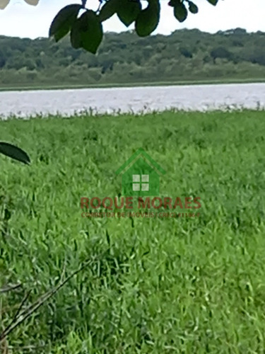 Imagem 10 de 30 de Terreno À Venda Em Iguape Sp Medindo 4 Alqueires Paulista Ref0940
