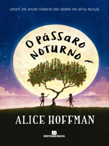 O Pássaro Noturno, De Hoffman, Alice. Editora Bertrand Brasil, Capa Mole, Edição 1ª Edição - 2016 Em Português