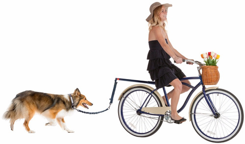 Correa De Perro Para Bicicleta Manos Libres Envio Gratis